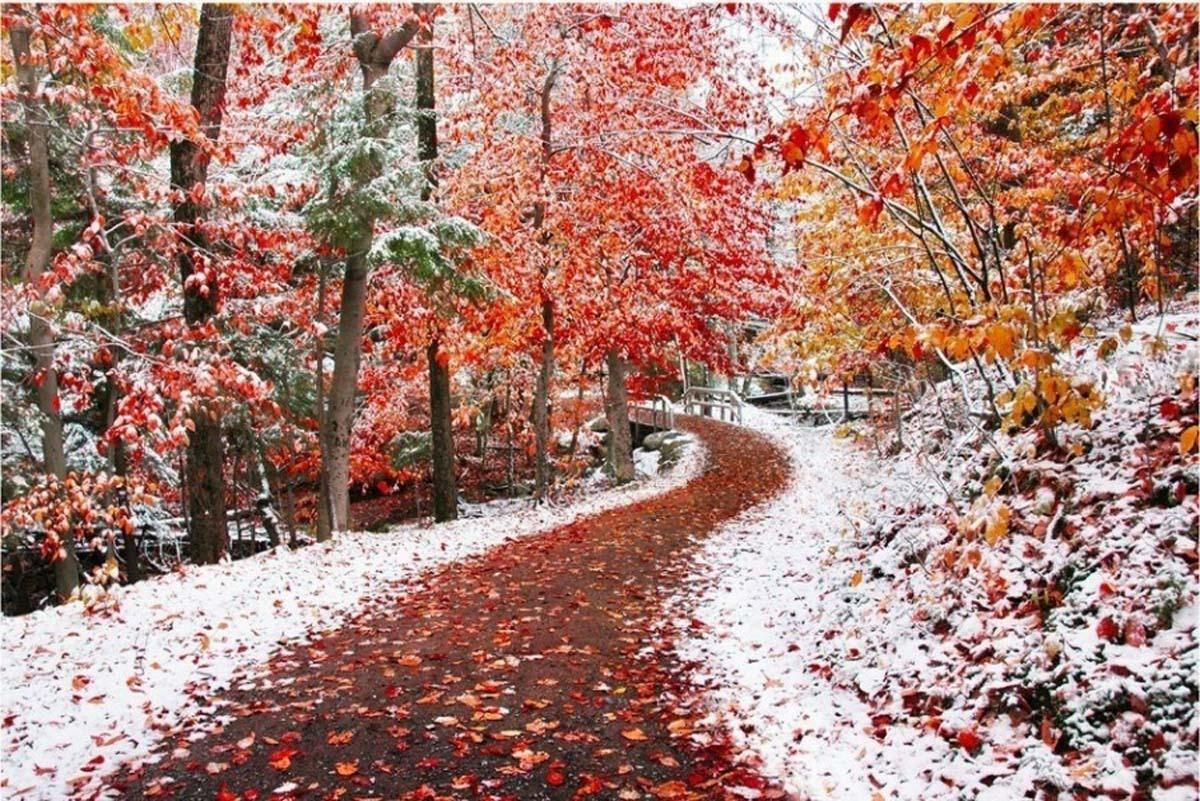 Ранняя зима. Поздняя осень. Осень снег. Ноябрь природа. Осень без тебя зима