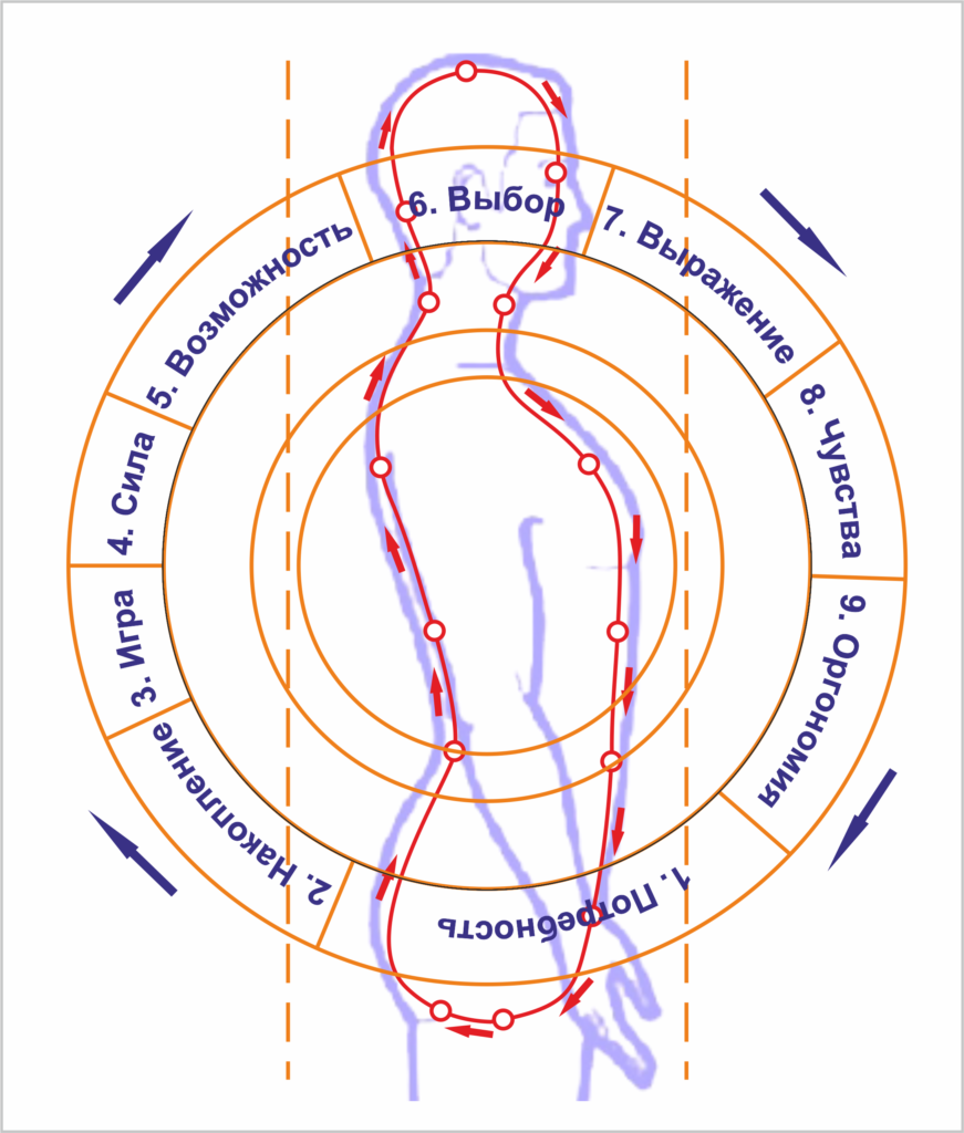 Прямой обратный круг. Цигун. Движение энергии в цигун. Схема циркуляции энергии Ци. Цигун схемы.