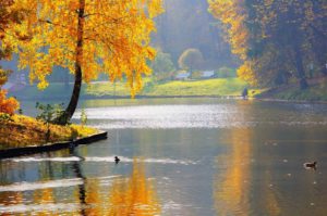 Влияние сезона Осень на физическое и эмоциональное здоровье